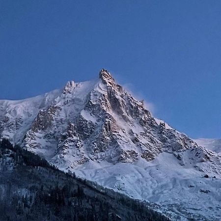 Апартаменти Champaign Powder Шамоні Екстер'єр фото